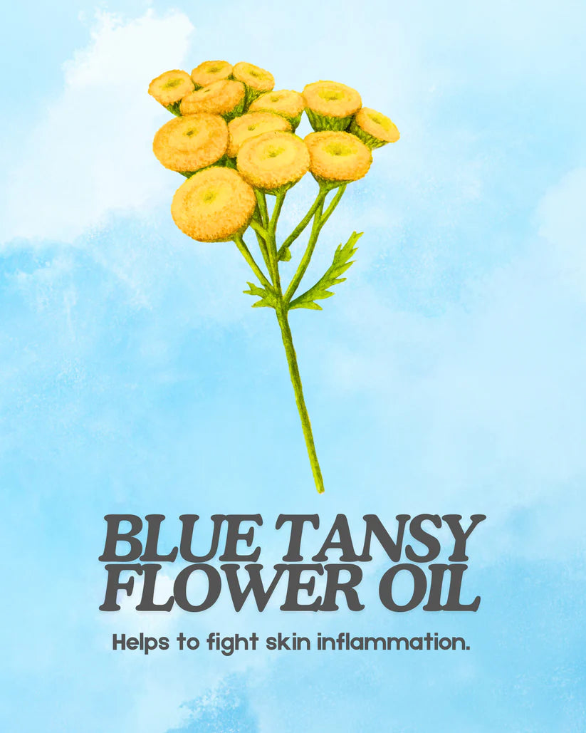 Blue Tansy Beard &amp; Face Oil
