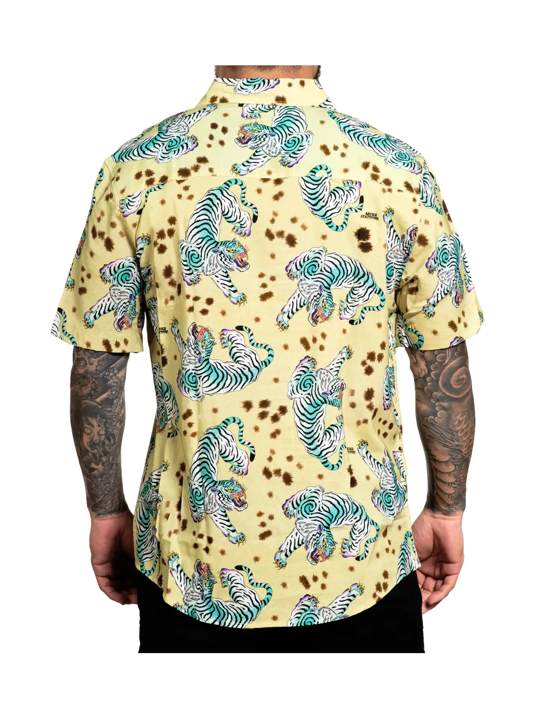 Turquoise Tiger