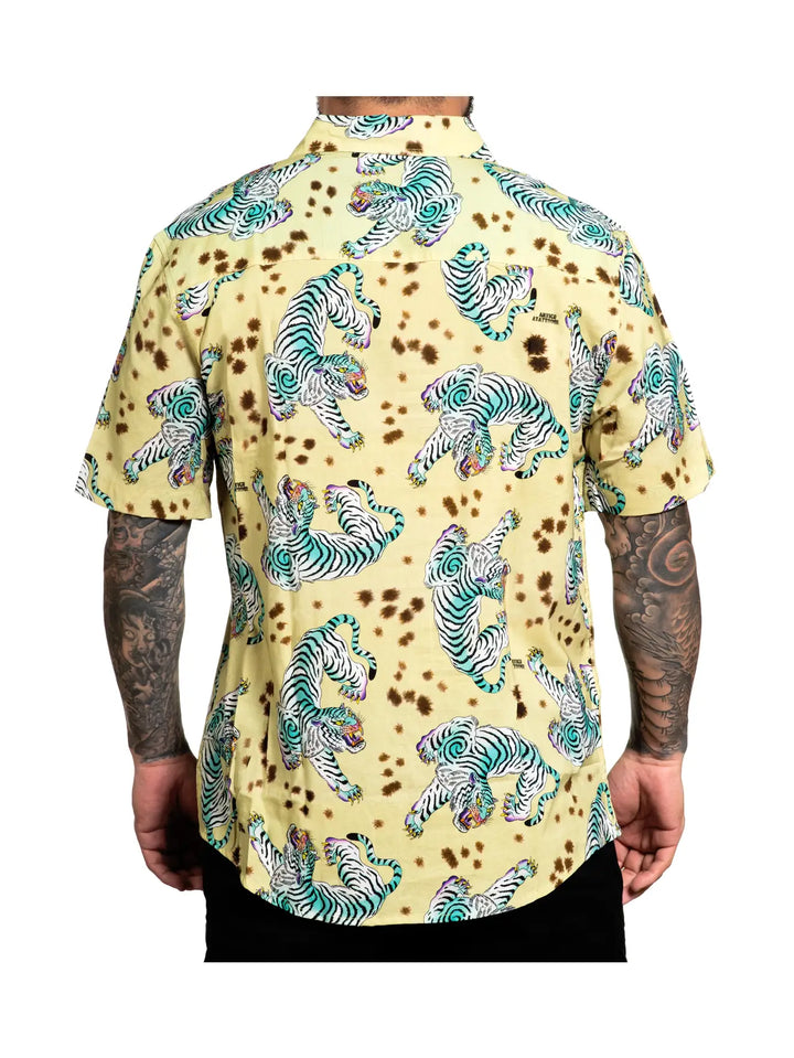 Turquoise Tiger