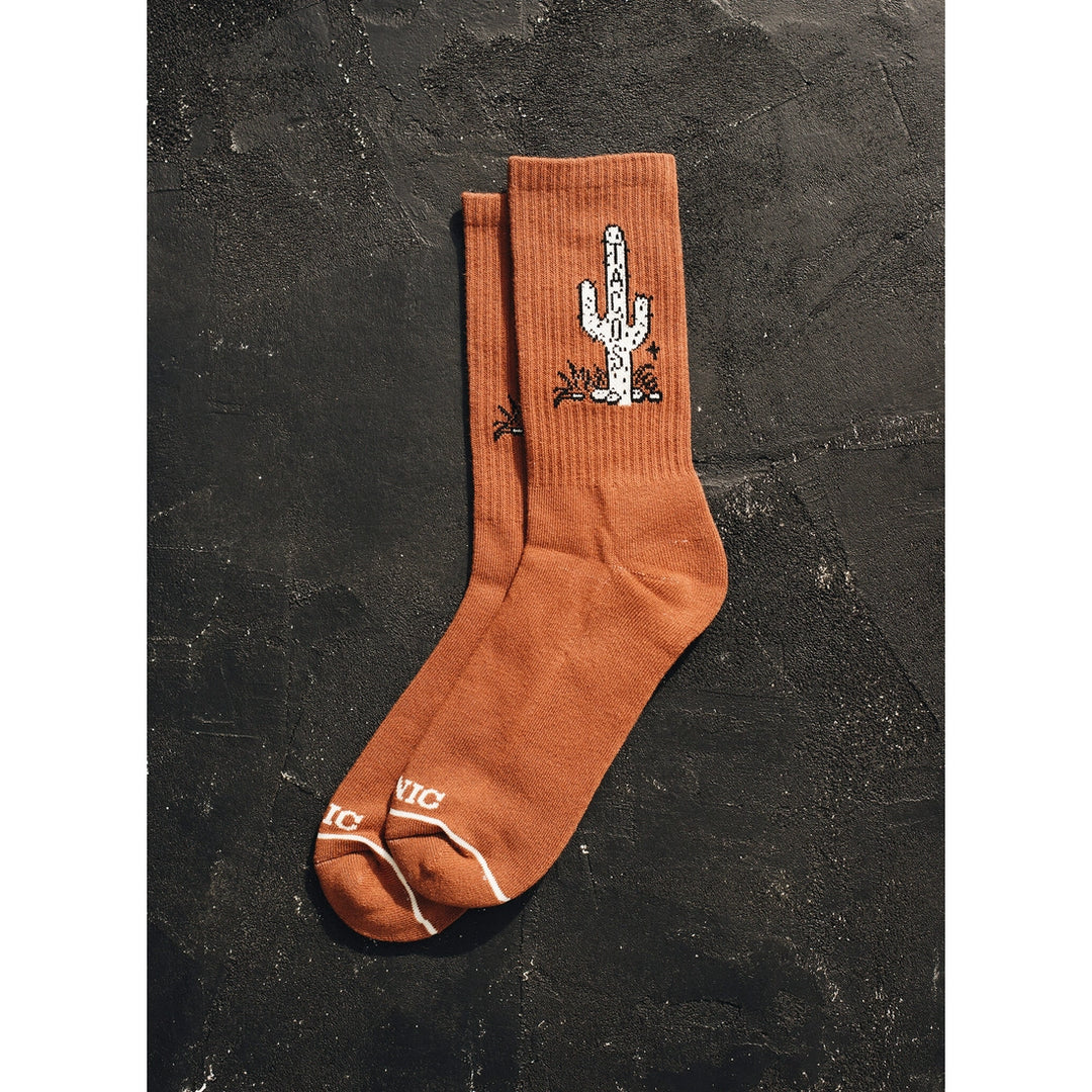 Cactus Taco Socks
