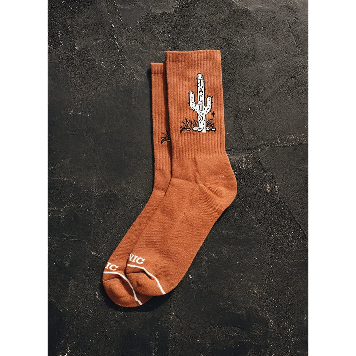Cactus Taco Socks